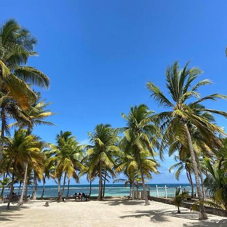 Le Cottage De Castaing Sur Plage Privee サンタンヌ エクステリア 写真