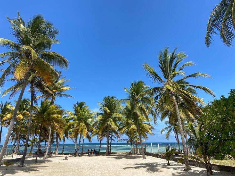 Le Cottage De Castaing Sur Plage Privee サンタンヌ エクステリア 写真