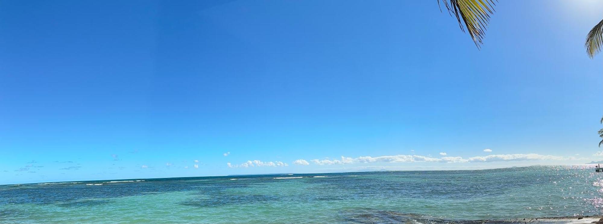 Le Cottage De Castaing Sur Plage Privee サンタンヌ エクステリア 写真