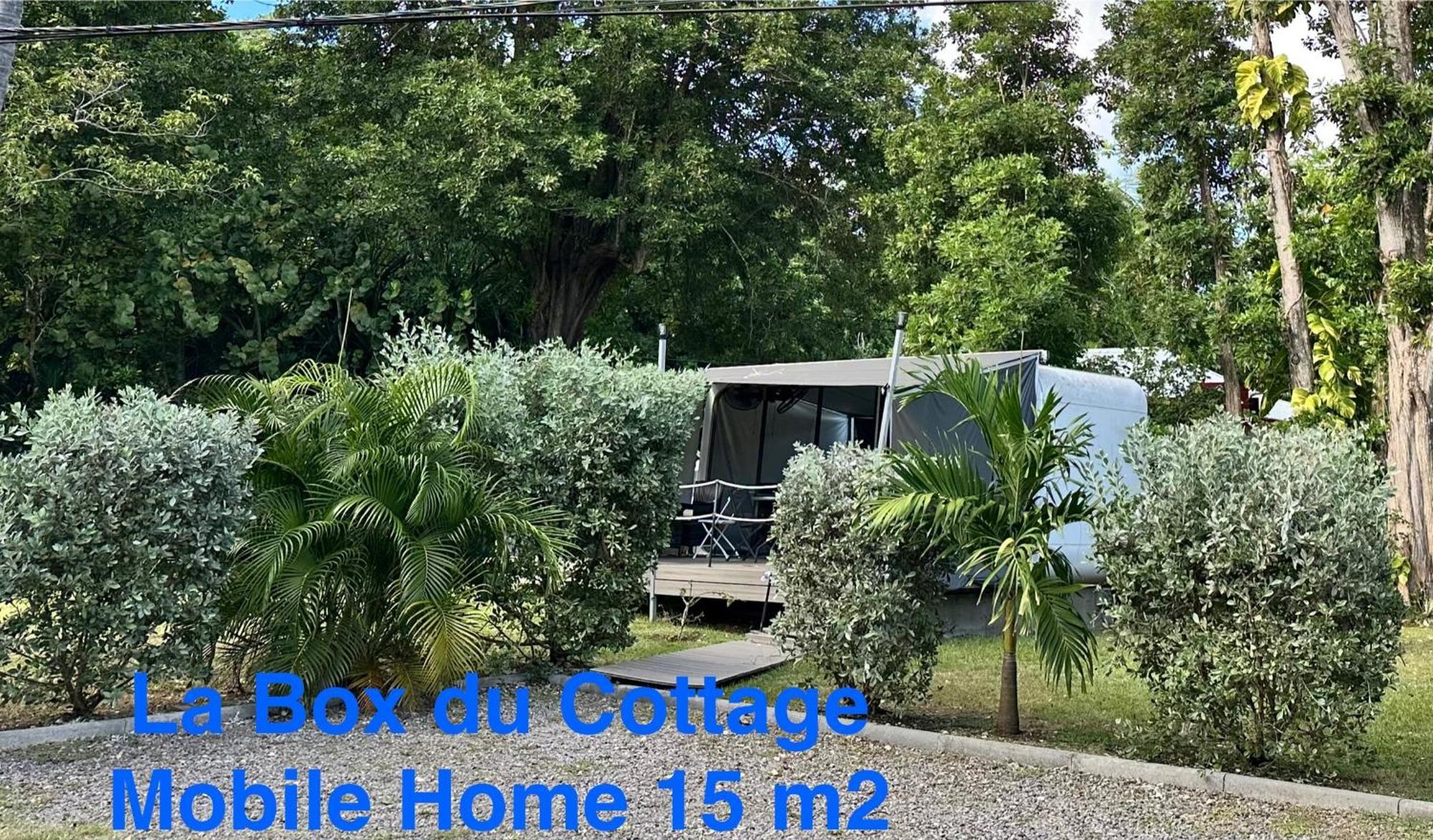 Le Cottage De Castaing Sur Plage Privee サンタンヌ エクステリア 写真